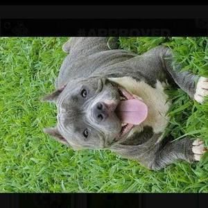 Meet your Posher, Kirk